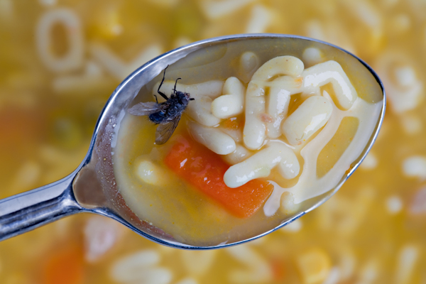 Sir, is that a fly in my soup? | SOMA
